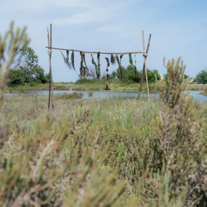 giardini lagunari per Venezia, tra paesaggi emersi e sommersi