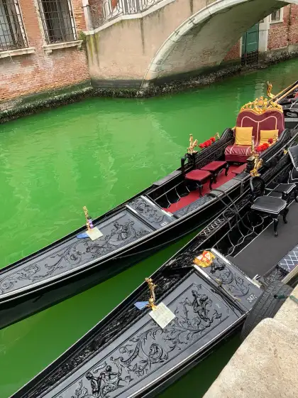 Nicolás García Uriburu: l'artista ambientalista che colorò il Canal Grande